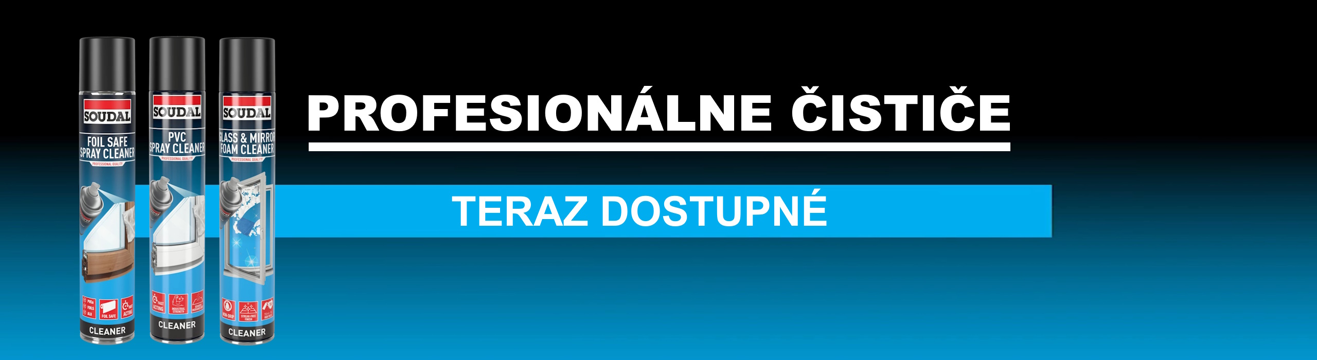 Profesion�lne �isti�e